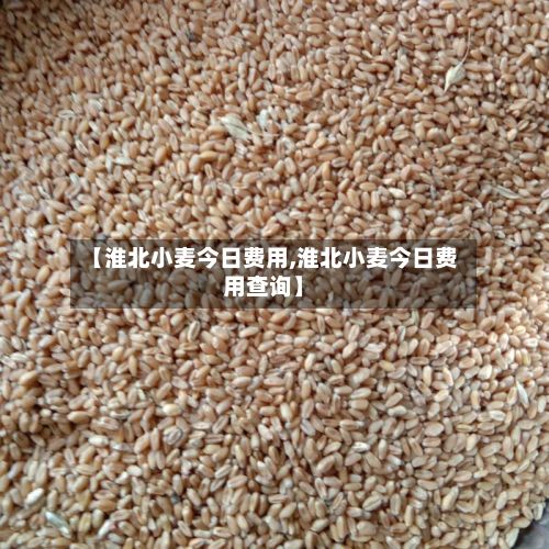 【淮北小麦今日费用,淮北小麦今日费用查询】