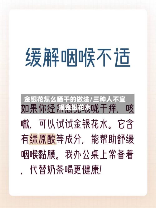 金银花怎么晒干的做法/三种人不宜喝金银花水