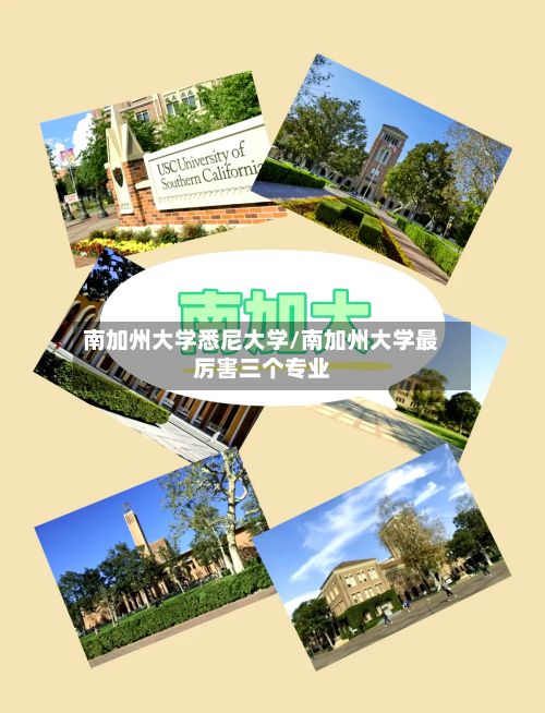 南加州大学悉尼大学/南加州大学最厉害三个专业-第3张图片