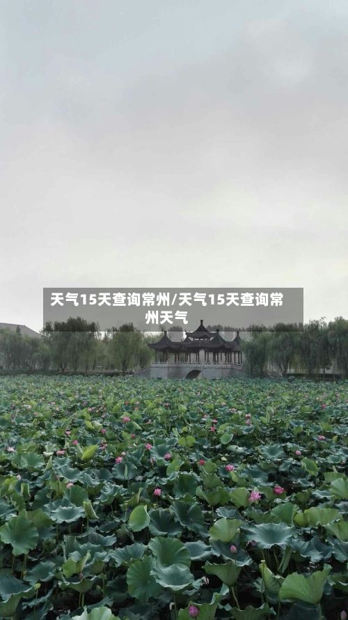 天气15天查询常州/天气15天查询常州天气