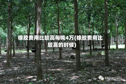 橡胶费用比较高每吨4万(橡胶费用比较高的时候)
