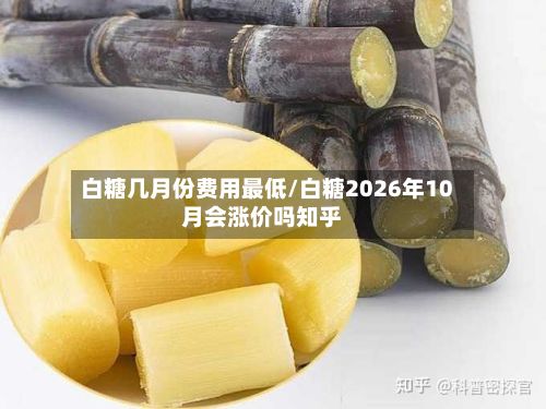 白糖几月份费用最低/白糖2026年10月会涨价吗知乎