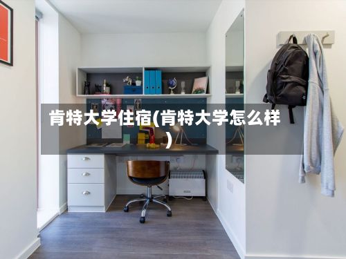 肯特大学住宿(肯特大学怎么样)-第2张图片