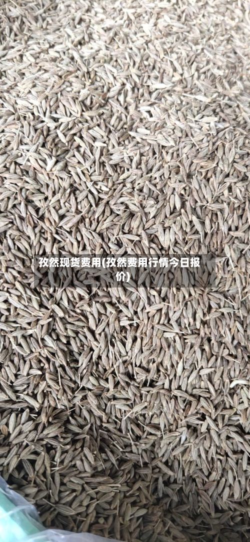 孜然现货费用(孜然费用行情今日报价)-第2张图片