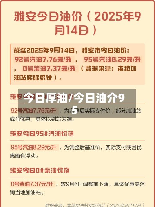 今日厚油/今日油介95