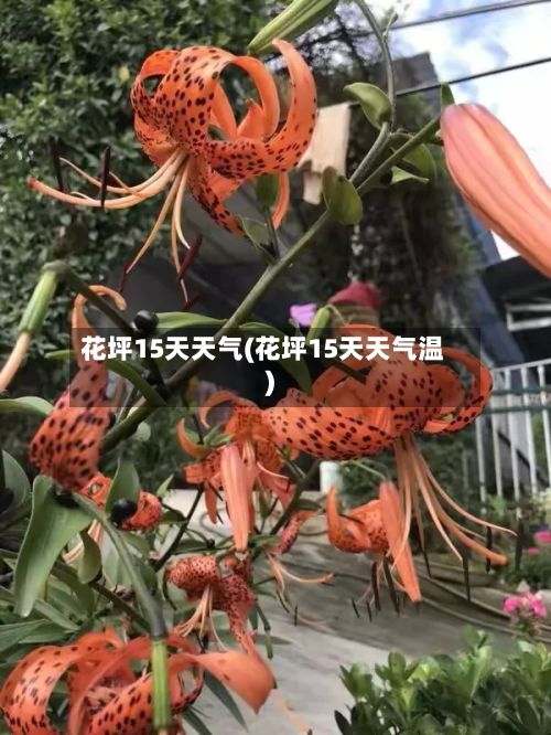 花坪15天天气(花坪15天天气温)-第3张图片