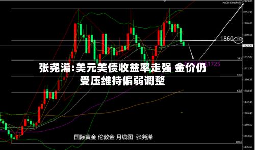 张尧浠:美元美债收益率走强 金价仍受压维持偏弱调整