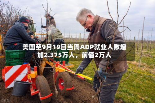 美国至9月19日当周ADP就业人数增加2.375万人	，前值2万人-第2张图片