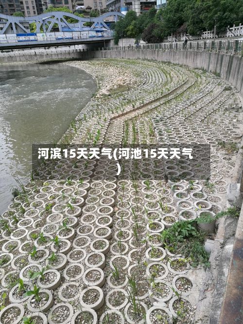 河滨15天天气(河池15天天气)-第2张图片