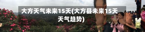 大方天气未来15天(大方县未来15天天气趋势)