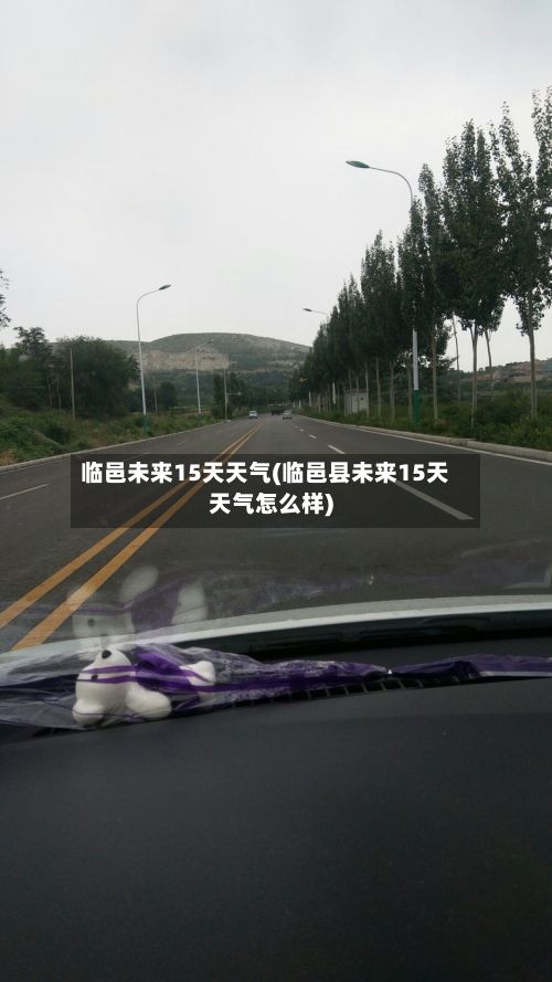 临邑未来15天天气(临邑县未来15天天气怎么样)-第3张图片