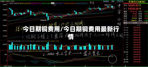 今日期铜费用/今日期铜费用最新行情-第2张图片