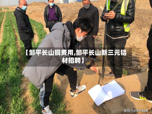 【邹平长山铜费用,邹平长山新三元铝材招聘】