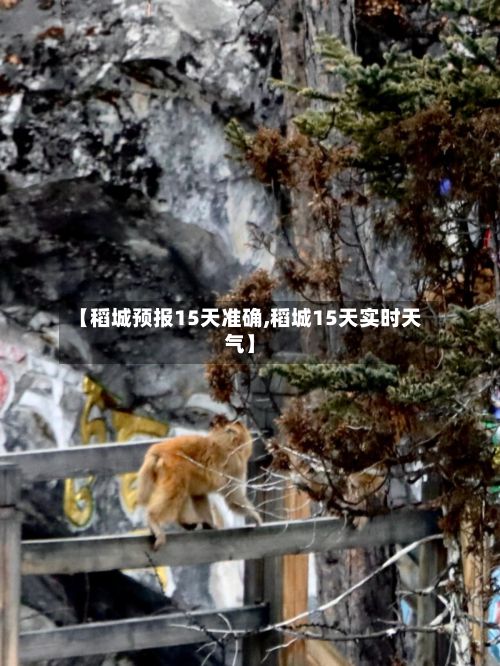 【稻城预报15天准确,稻城15天实时天气】