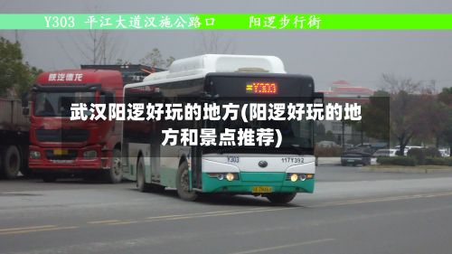 武汉阳逻好玩的地方(阳逻好玩的地方和景点推荐)-第3张图片