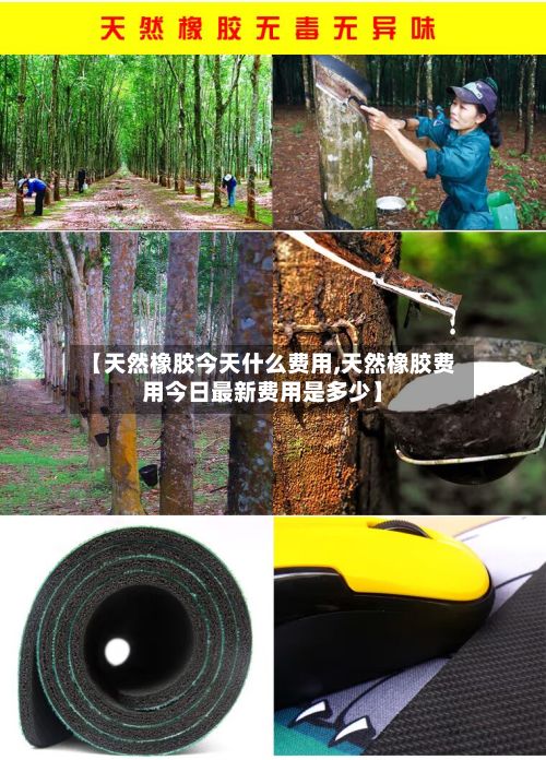 【天然橡胶今天什么费用,天然橡胶费用今日最新费用是多少】