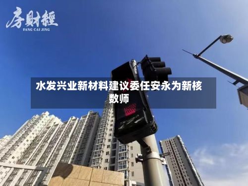 水发兴业新材料建议委任安永为新核数师-第1张图片