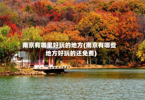 南京有哪里好玩的地方(南京有哪些地方好玩的还免费)-第3张图片