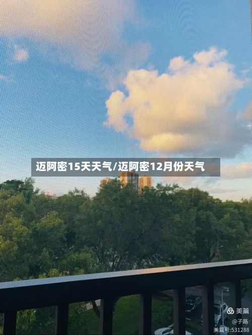 迈阿密15天天气/迈阿密12月份天气-第2张图片
