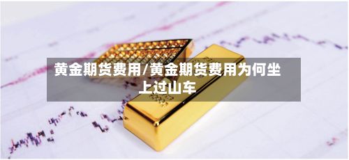黄金期货费用/黄金期货费用为何坐上过山车-第2张图片