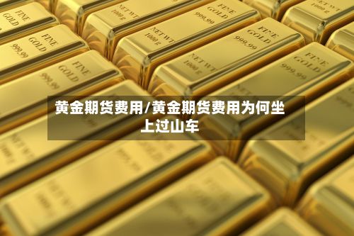 黄金期货费用/黄金期货费用为何坐上过山车-第3张图片