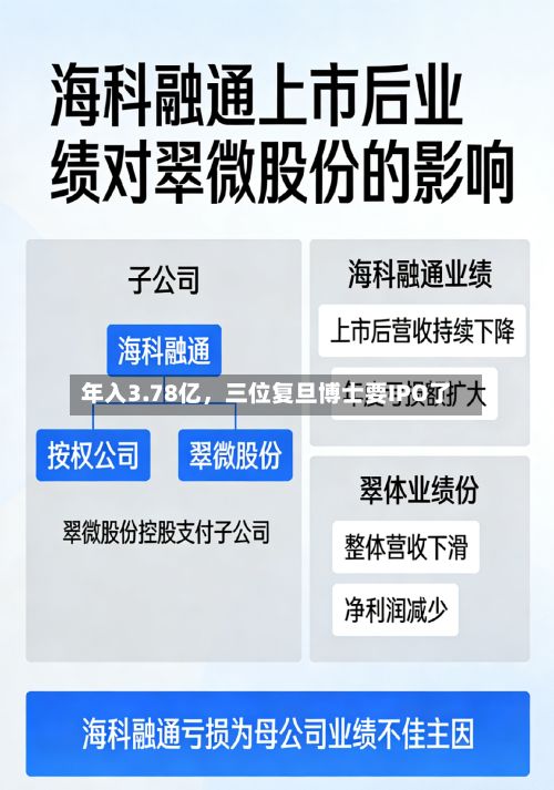 年入3.78亿	，三位复旦博士要IPO了-第3张图片