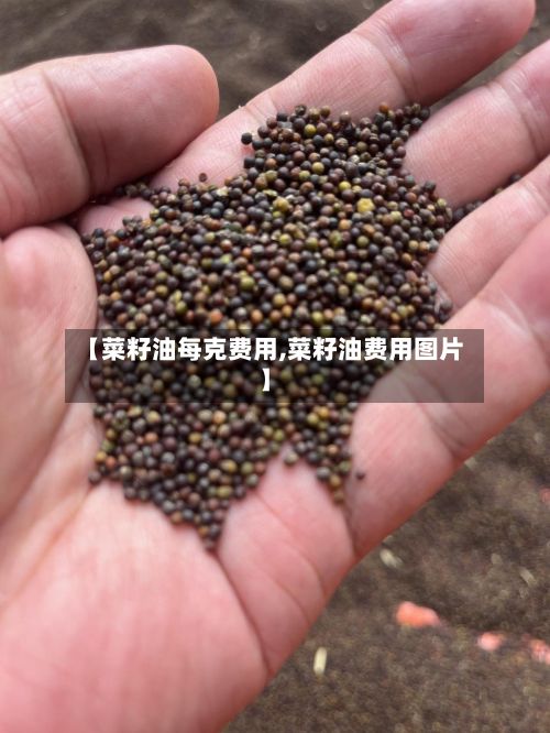 【菜籽油每克费用,菜籽油费用图片】-第2张图片