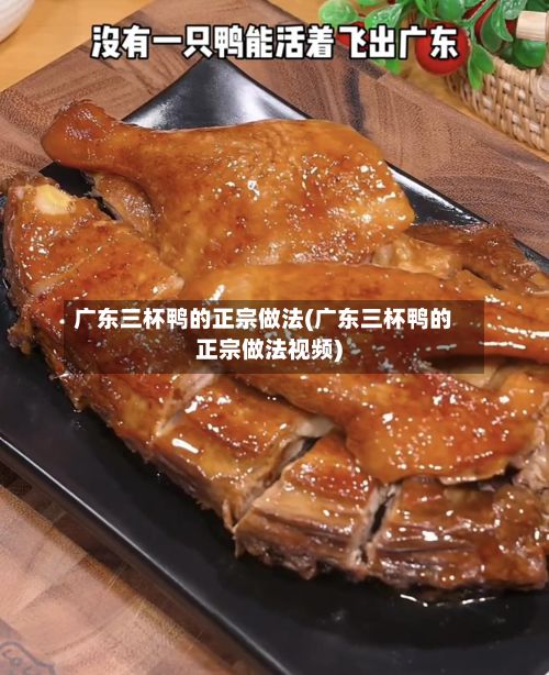 广东三杯鸭的正宗做法(广东三杯鸭的正宗做法视频)