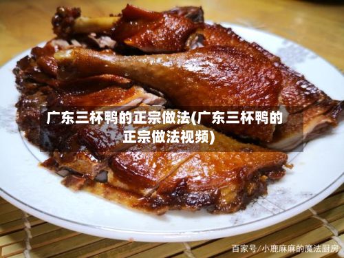 广东三杯鸭的正宗做法(广东三杯鸭的正宗做法视频)-第3张图片