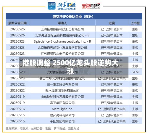 港股调整 2500亿龙头股逆势大涨