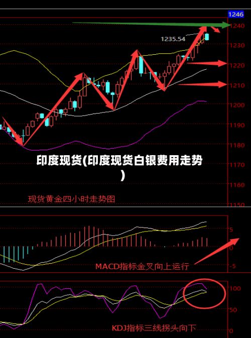 印度现货(印度现货白银费用走势)-第2张图片