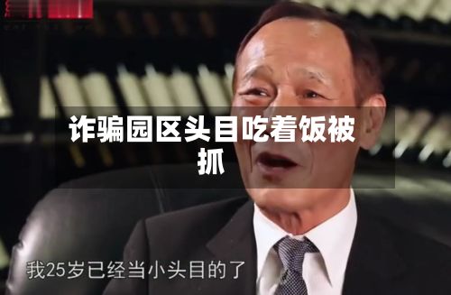 诈骗园区头目吃着饭被抓-第3张图片