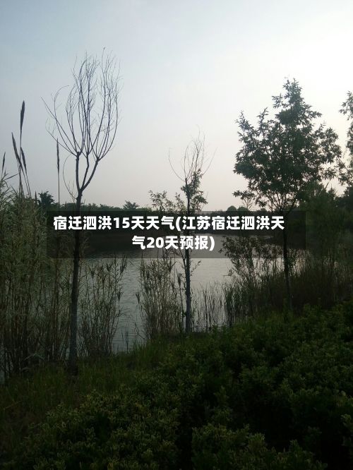 宿迁泗洪15天天气(江苏宿迁泗洪天气20天预报)