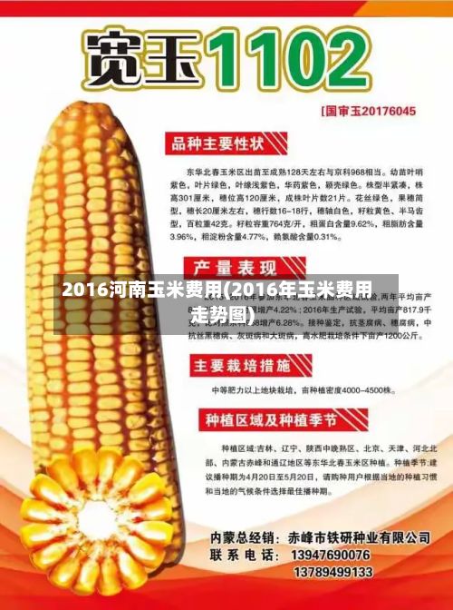 2016河南玉米费用(2016年玉米费用走势图)-第2张图片