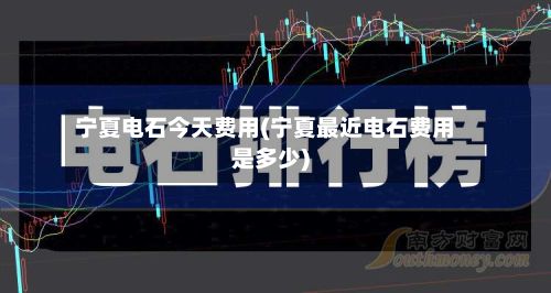 宁夏电石今天费用(宁夏最近电石费用是多少)-第2张图片