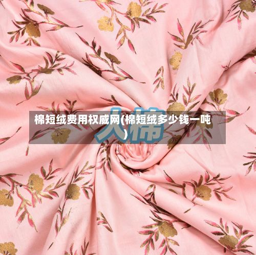 棉短绒费用权威网(棉短绒多少钱一吨)