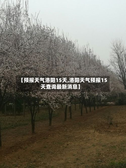 【预报天气洛阳15天,洛阳天气预报15天查询最新消息】-第3张图片