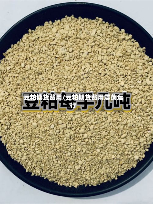 豆粕期货费用/豆粕期货费用震荡运行-第2张图片