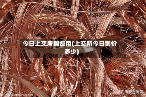 今日上交所铜费用(上交所今日铜价多少)-第3张图片