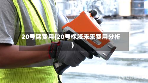 20号铑费用(20号橡胶未来费用分析)
