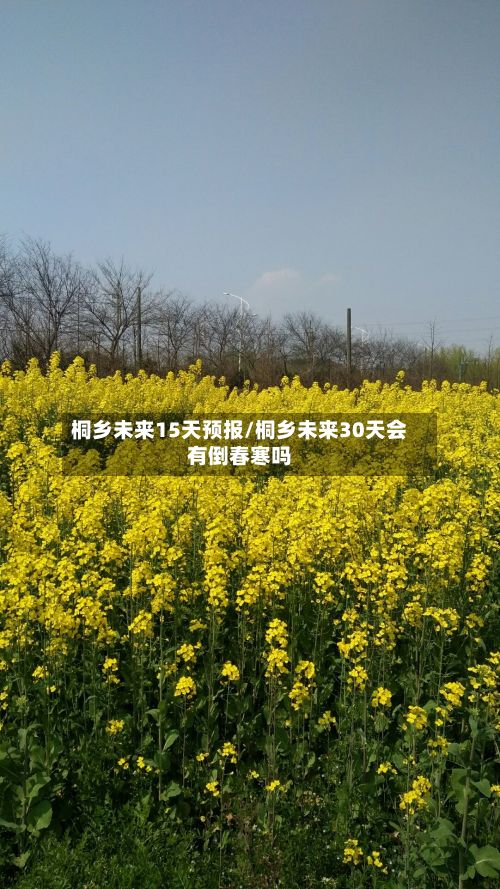 桐乡未来15天预报/桐乡未来30天会有倒春寒吗-第2张图片