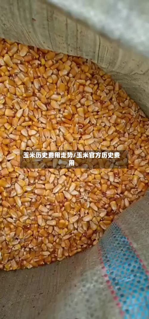 玉米历史费用走势/玉米官方历史费用