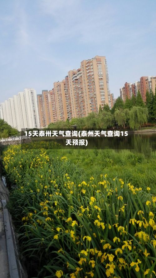 15天泰卅天气查询(泰州天气查询15天预报)-第2张图片