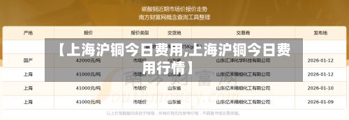 【上海沪铜今日费用,上海沪铜今日费用行情】-第3张图片