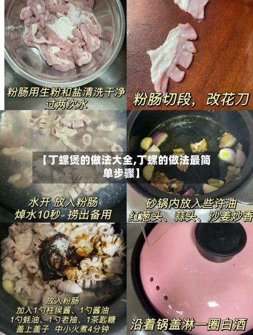 【丁螺煲的做法大全,丁螺的做法最简单步骤】