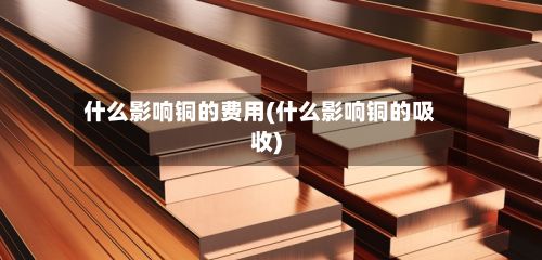 什么影响铜的费用(什么影响铜的吸收)-第3张图片