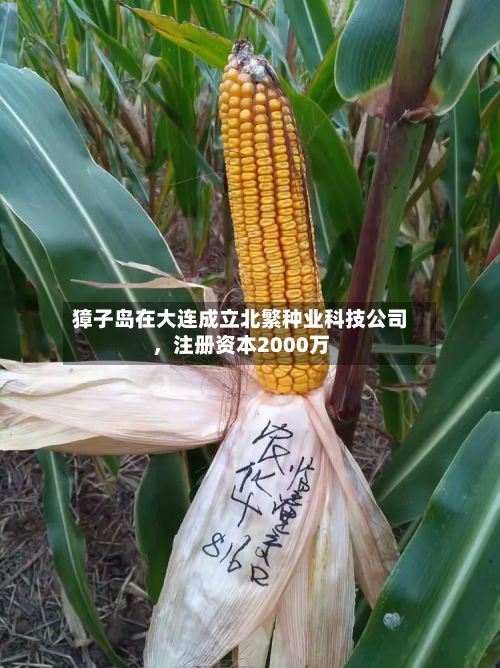 獐子岛在大连成立北繁种业科技公司，注册资本2000万-第3张图片