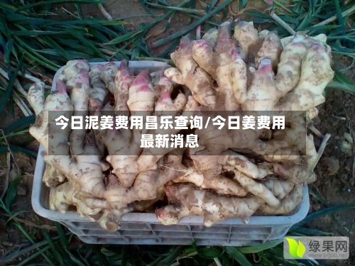今日泥姜费用昌乐查询/今日姜费用最新消息-第2张图片