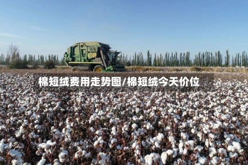 棉短绒费用走势图/棉短绒今天价位-第2张图片