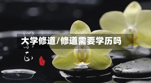 大学修道/修道需要学历吗